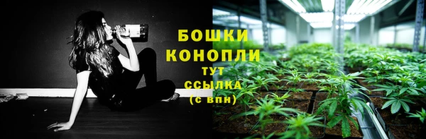 MDMA Богородицк